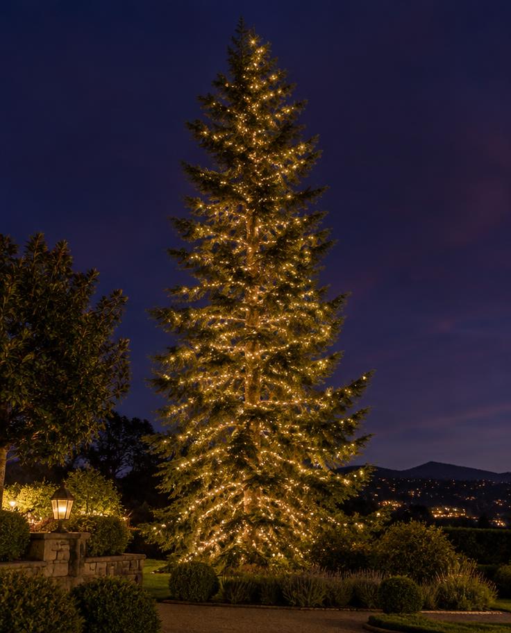 Illustration of an evergreen tree lit with warm white lights